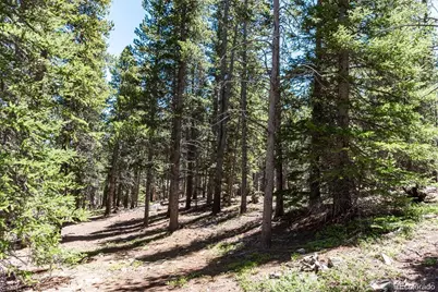 176 Gold Trail Circle, Fairplay, CO 80440 - Photo 7