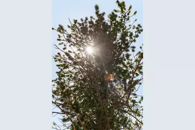 176 Gold Trail Circle, Fairplay, CO 80440 - Photo 9