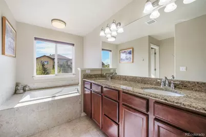 761 Tailings Drive, Monument, CO 80132 - Photo 23