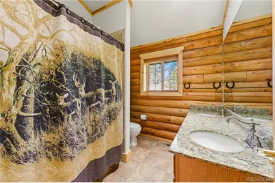 73 Big Horn Lane, Florissant, CO 80816 - Photo 23