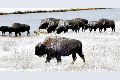 306 Cottonwood Creek Road, Crestone, CO 81131 - Photo 9