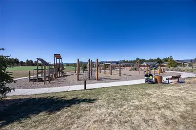 928 Graywoods Terrace, Monument, CO 80132 - Photo 19