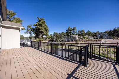 928 Graywoods Terrace, Monument, CO 80132 - Photo 13
