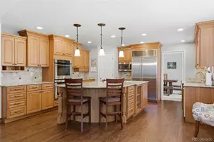 8966 Green Meadows Ct, Highlands Ranch, CO 80126 - Photo 13