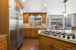 8966 Green Meadows Ct, Highlands Ranch, CO 80126 - Photo 11