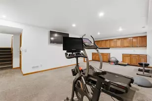 8966 Green Meadows Ct, Highlands Ranch, CO 80126 - Photo 39