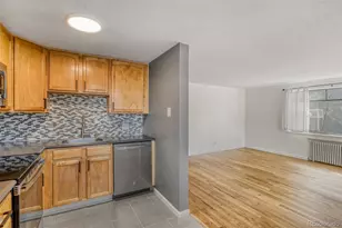 1182 N Clermont Street, Denver, CO 80220 - Photo 19