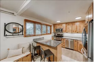 365 Salt Lick Circle, Silverthorne, CO 80498 - Photo 5