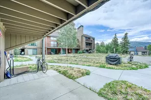 365 Salt Lick Circle, Silverthorne, CO 80498 - Photo 29