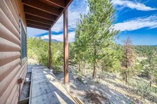 30260 Princeton Hills, Buena Vista, CO 81211 - Photo 39