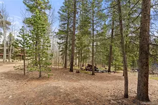 418 Athena Rd, Black Hawk, CO 80422 - Photo 29