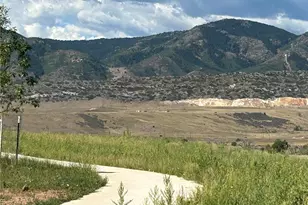 9204 Star Fall Cir, Littleton, CO 80125 - Photo 37
