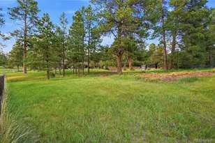 10462 Tomichi Dr, Franktown, CO 80116 - Photo 43