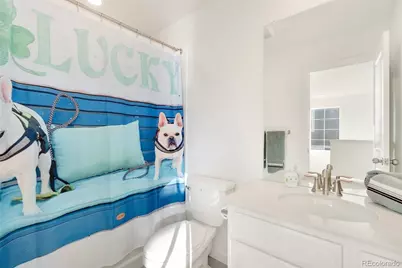 9021 Borrowdale Lane, Parker, CO 80134 - Photo 15