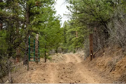 15555 Austin Trail, Salida, CO 81201 - Photo 43