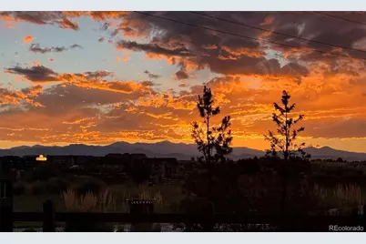 8973 Birch Run Lane, Parker, CO 80134 - Photo 1