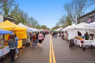 1337 Morning Side Dr, Erie, CO 80516 - Photo 23