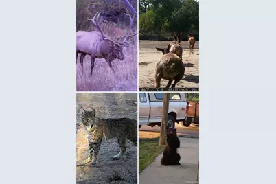 16880-16885 Old Pueblo Road, Fountain, CO 80817 - Photo 7