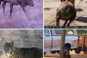 16880-16885 Old Pueblo Rd, Fountain, CO 80817 - Photo 7