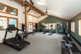 715 S 5th Ave, Frisco, CO 80443 - Photo 27