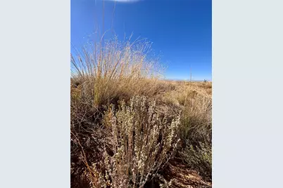 Lot 7 10th Street, Blanca, CO 81123 - Photo 7