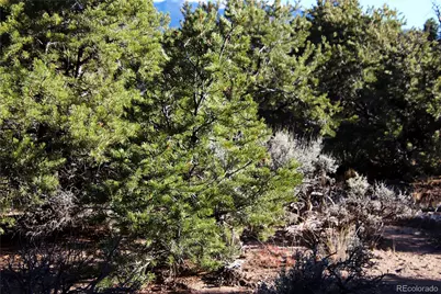 Lot 1 Largo Vista Drive, San Luis, CO 81152 - Photo 11