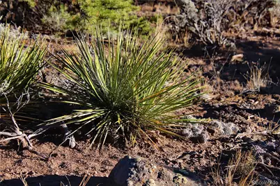 Lot 1 Largo Vista Drive, San Luis, CO 81152 - Photo 17