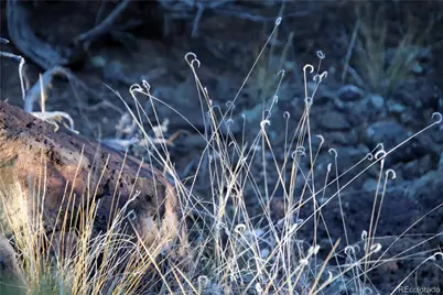 Lot 1 Largo Vista Drive, San Luis, CO 81152 - Photo 25