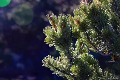 Lot 1 Largo Vista Drive, San Luis, CO 81152 - Photo 15