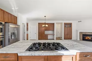 10613 Briarglen Cir, Highlands Ranch, CO 80130 - Photo 5