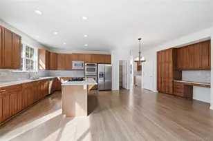 10613 Briarglen Cir, Highlands Ranch, CO 80130 - Photo 43