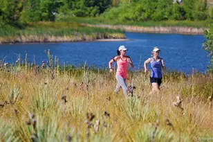 6843 S Vandriver Ct, Aurora, CO 80016 - Photo 43