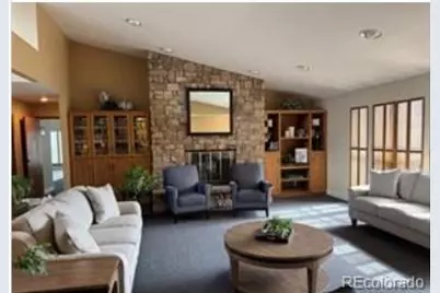 5418 Shetland Court, Highlands Ranch, CO 80130 - Photo 19