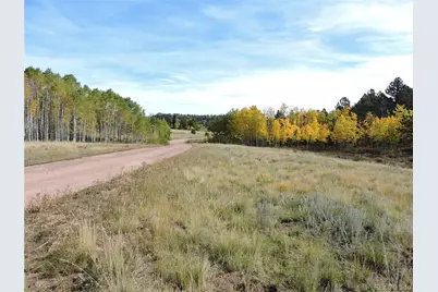 400 Aspen Way Drive, Lake George, CO 80827 - Photo 3