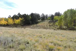 400 Aspen Way Dr, Lake George, CO 80827 - Photo 1