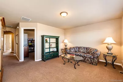 23515 Branston Lane, Parker, CO 80138 - Photo 25