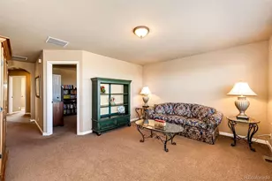 23515 Branston Ln, Parker, CO 80138 - Photo 25