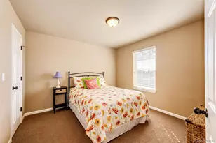 23515 Branston Ln, Parker, CO 80138 - Photo 29