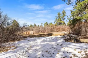 2399 Vista Dr, Larkspur, CO 80118 - Photo 23