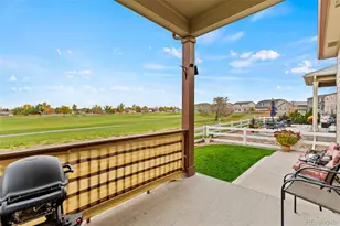 1803 Homestead Dr, Fort Lupton, CO 80621 - Photo 35