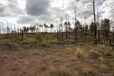 Lot 547 Drey's Place, Fort Garland, CO 81133 - Photo 23
