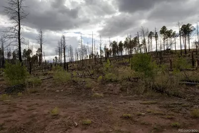Lot 547 Drey's Place, Fort Garland, CO 81133 - Photo 21