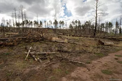 Lot 547 Drey's Place, Fort Garland, CO 81133 - Photo 11