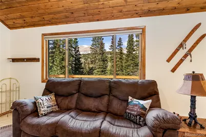 235 Nuthatch Drive, Alma, CO 80420 - Photo 3
