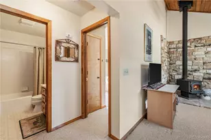 235 Nuthatch Dr, Alma, CO 80420 - Photo 21