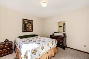 235 Nuthatch Dr, Alma, CO 80420 - Photo 11