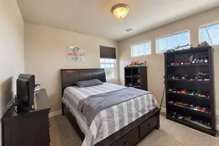 991 Mount Andrew Dr, Severance, CO 80550 - Photo 15
