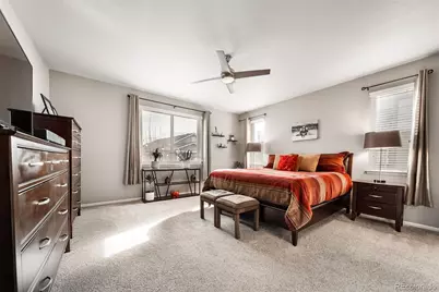 6388 Agave Avenue, Castle Rock, CO 80108 - Photo 9