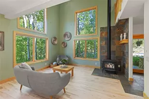 294 Mine Dump Rd, Fairplay, CO 80440 - Photo 3