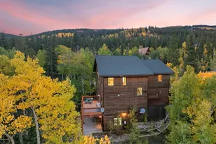 294 Mine Dump Rd, Fairplay, CO 80440 - Photo 31